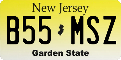 NJ license plate B55MSZ