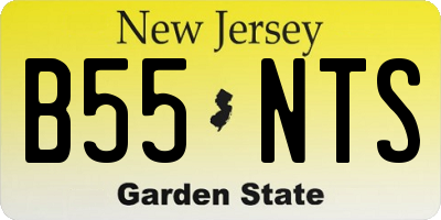 NJ license plate B55NTS