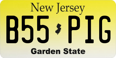 NJ license plate B55PIG