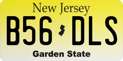NJ license plate B56DLS