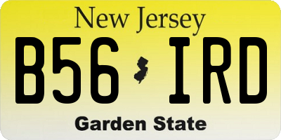 NJ license plate B56IRD