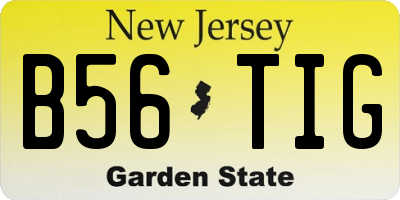 NJ license plate B56TIG