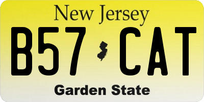 NJ license plate B57CAT