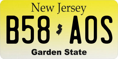 NJ license plate B58AOS