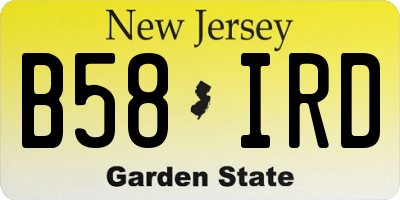 NJ license plate B58IRD
