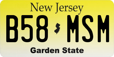 NJ license plate B58MSM