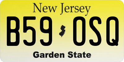 NJ license plate B59OSQ