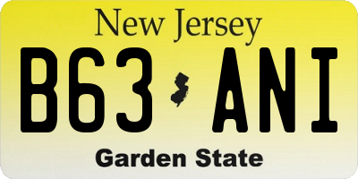 NJ license plate B63ANI