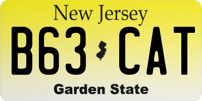 NJ license plate B63CAT