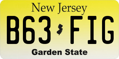 NJ license plate B63FIG