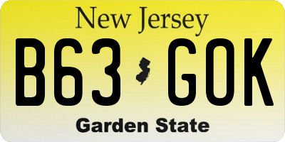 NJ license plate B63GOK