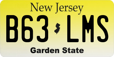NJ license plate B63LMS