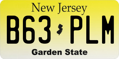 NJ license plate B63PLM