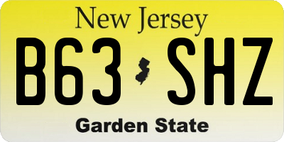 NJ license plate B63SHZ