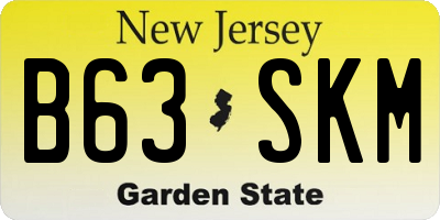 NJ license plate B63SKM