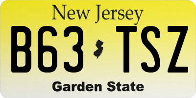 NJ license plate B63TSZ