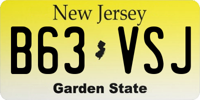 NJ license plate B63VSJ