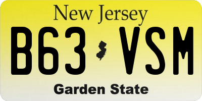 NJ license plate B63VSM