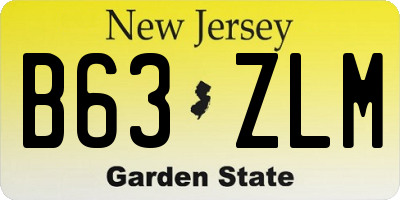 NJ license plate B63ZLM
