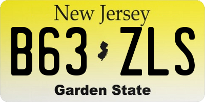 NJ license plate B63ZLS