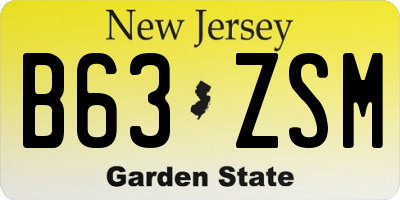 NJ license plate B63ZSM
