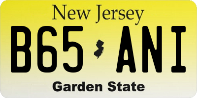 NJ license plate B65ANI
