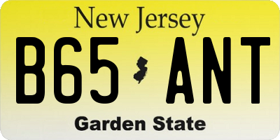 NJ license plate B65ANT