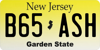 NJ license plate B65ASH