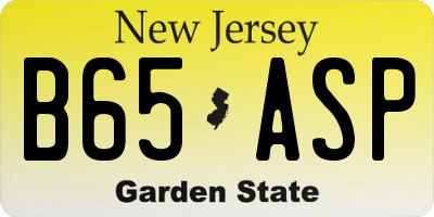 NJ license plate B65ASP