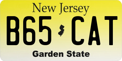 NJ license plate B65CAT