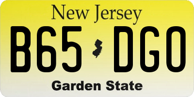 NJ license plate B65DGO