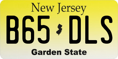 NJ license plate B65DLS