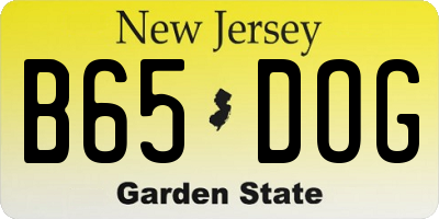 NJ license plate B65DOG