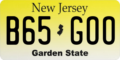 NJ license plate B65GOO