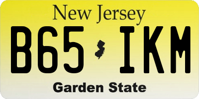 NJ license plate B65IKM