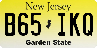 NJ license plate B65IKQ