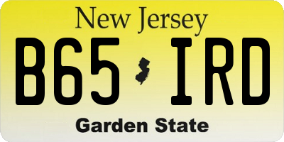 NJ license plate B65IRD