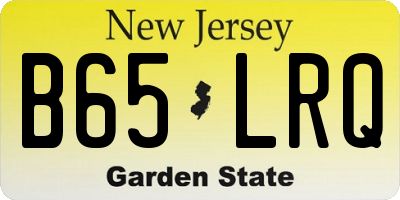 NJ license plate B65LRQ