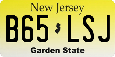 NJ license plate B65LSJ