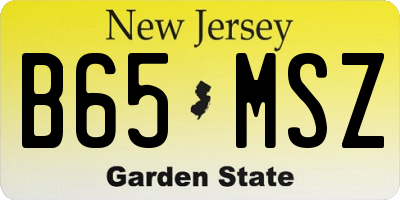 NJ license plate B65MSZ