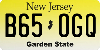 NJ license plate B65OGQ