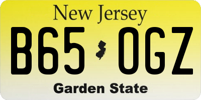 NJ license plate B65OGZ