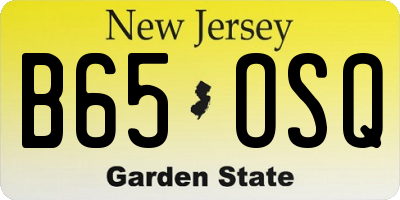 NJ license plate B65OSQ