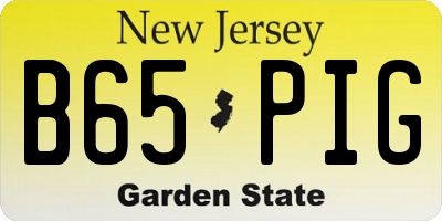 NJ license plate B65PIG