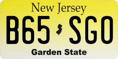NJ license plate B65SGO