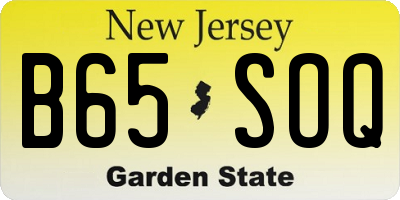 NJ license plate B65SOQ