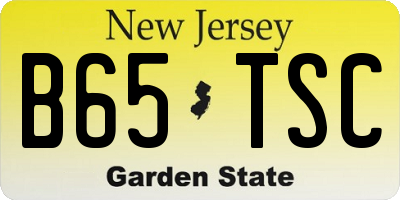 NJ license plate B65TSC