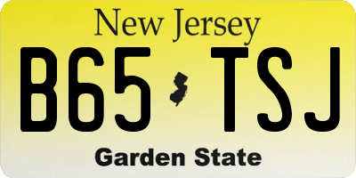 NJ license plate B65TSJ