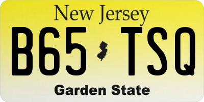 NJ license plate B65TSQ
