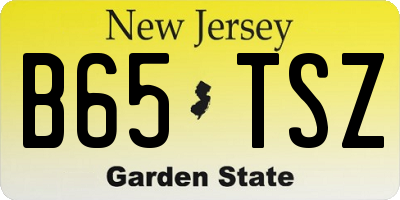 NJ license plate B65TSZ